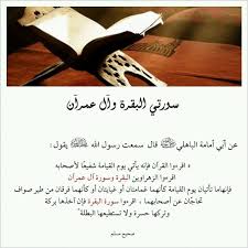 تحضير بوابة المستقبل مادة الحديث ثاني متوسط فصل دراسي أول درس فضل البقرة وآل عمران